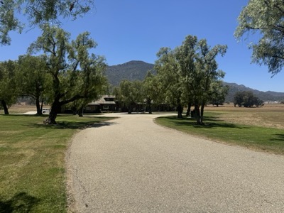 Estate 5 cover image