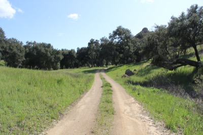 China Flat Roads cover image