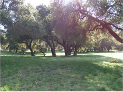Guest House Pasture cover image