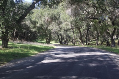 Paved Roads cover image
