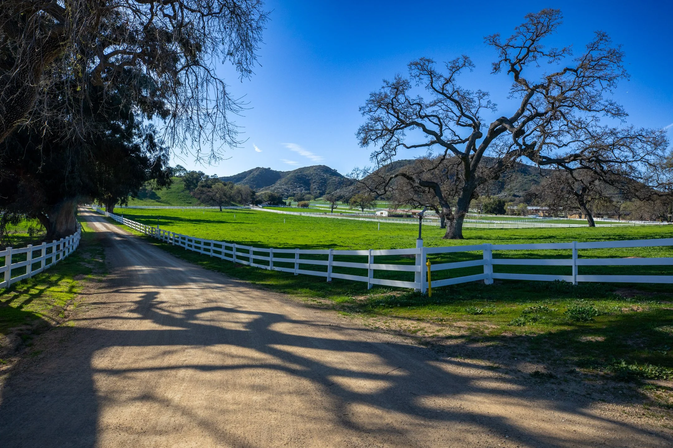 Ranches cover image